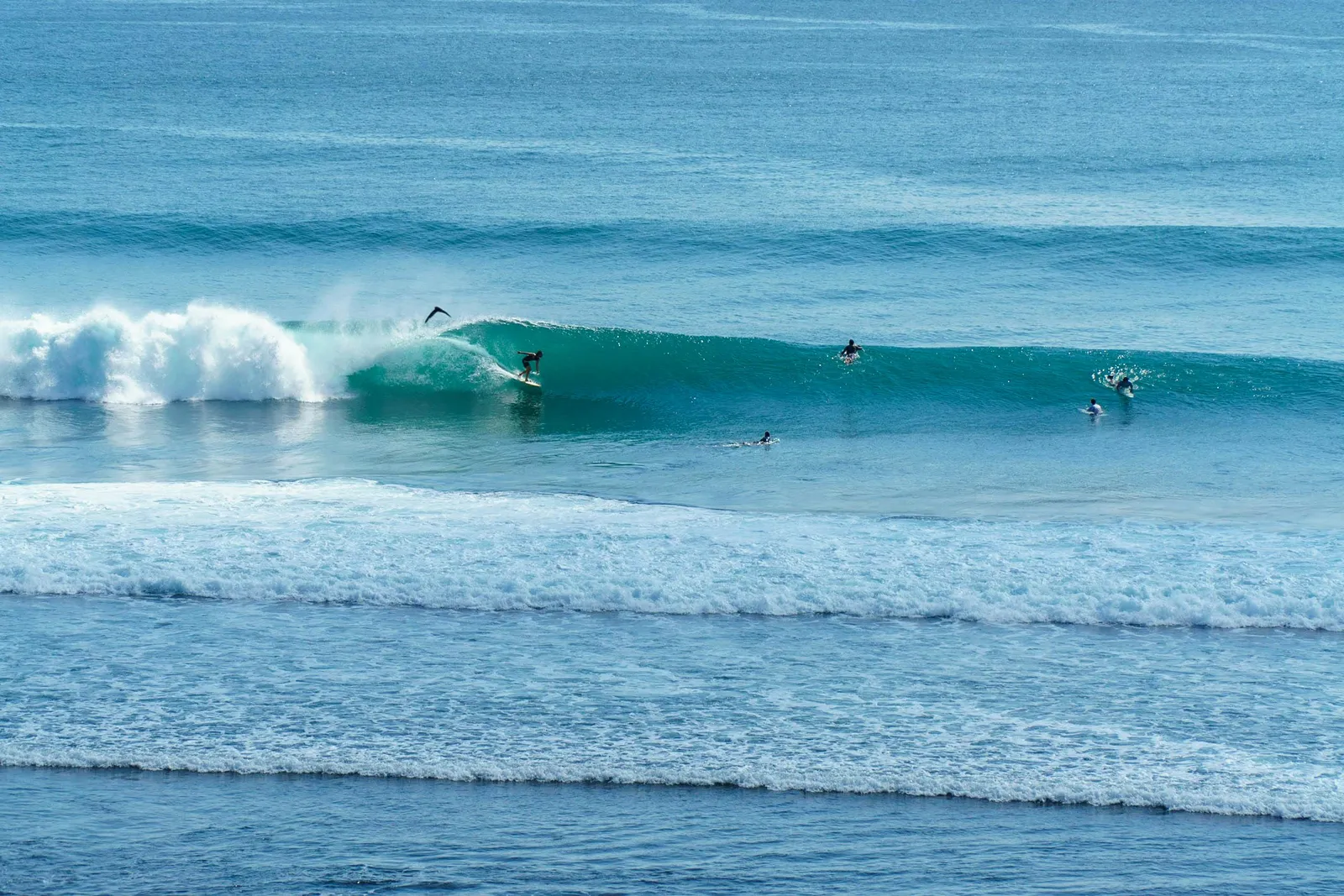 Wrapping reef break peeling at Bingin in Bali under tropical light.