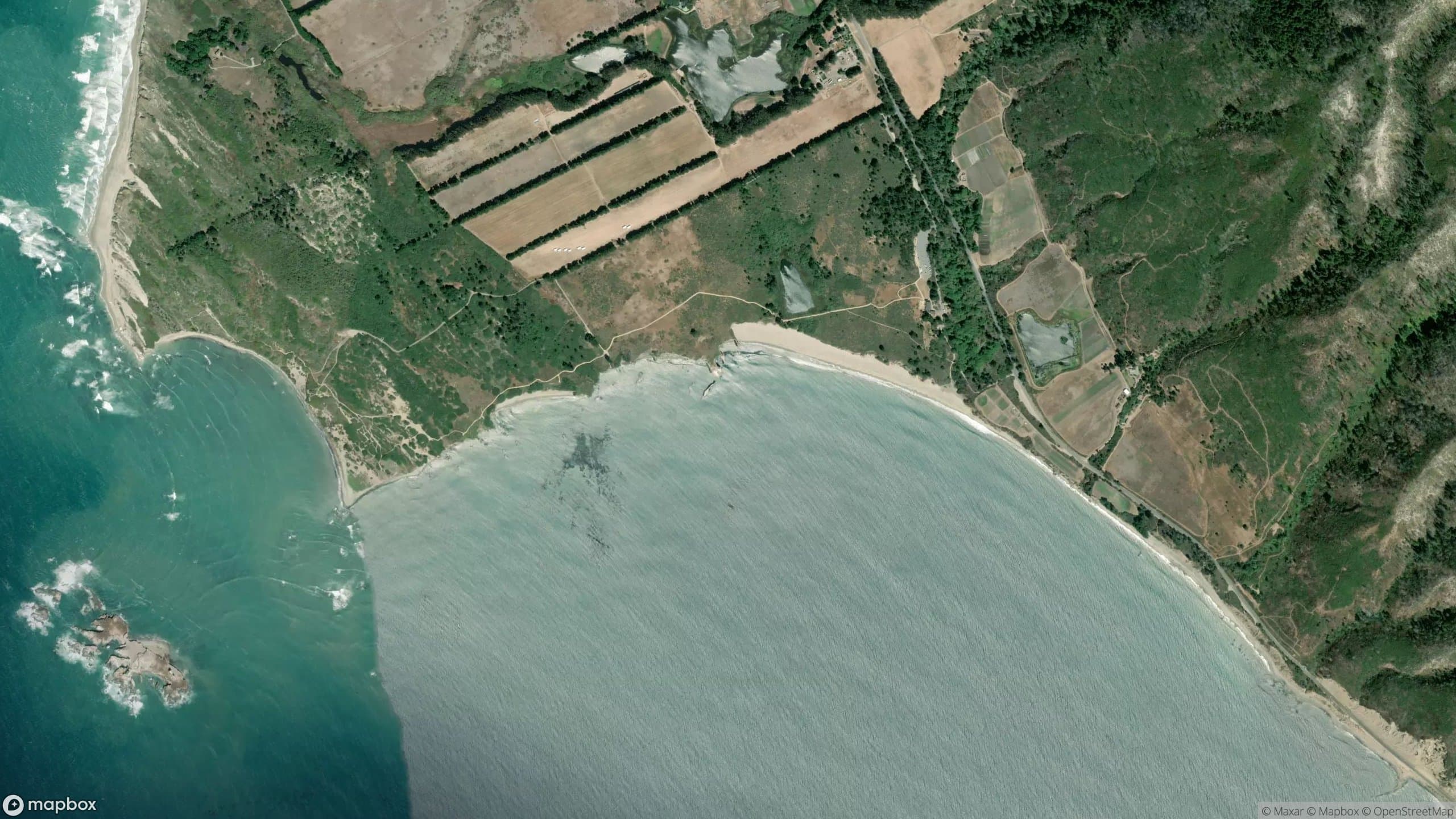 Ano Nuevo, California