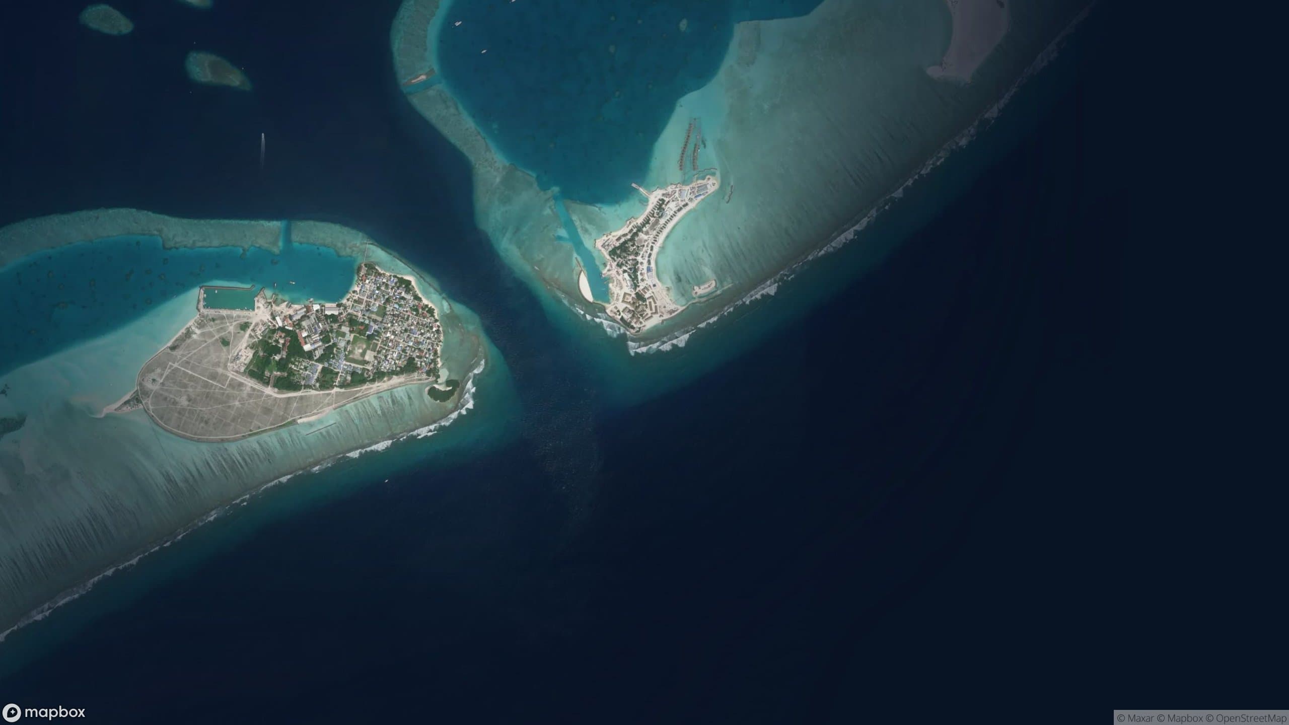 Chickens, Maldives