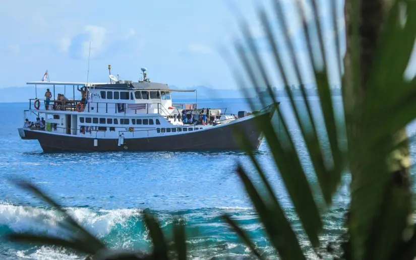 D'Bora surf charter boat