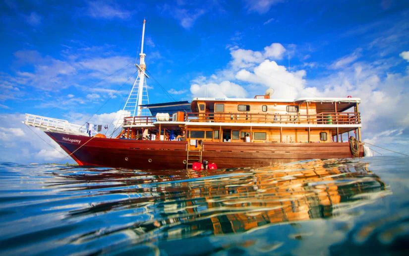Mahogany surf charter boat